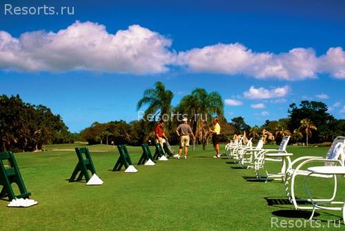Sheraton Grand Bahama Island Our Lucaya Resort 14